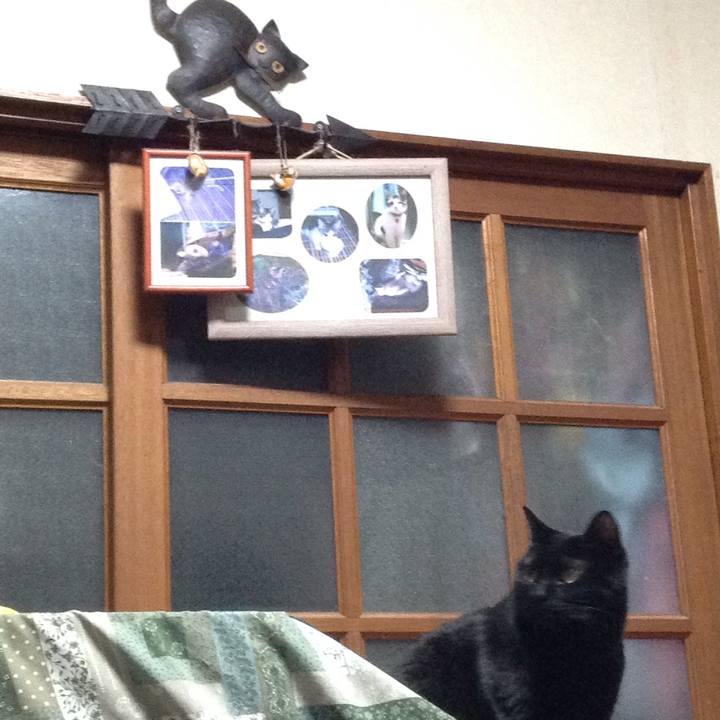 A98e6cbe d68f 4852 adc7 f6bc2cc525e2