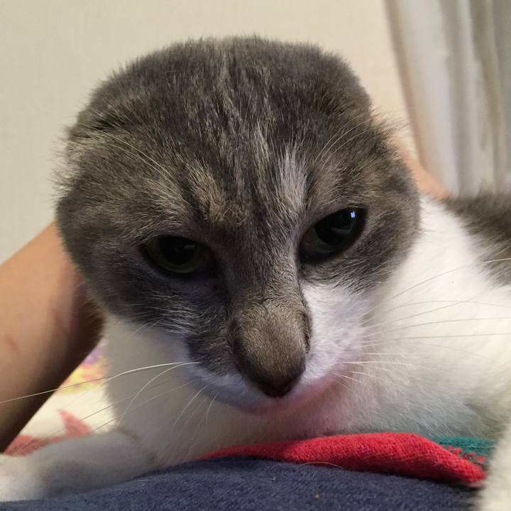 A98f00ca e59f 4899 9805 f94f789693c0