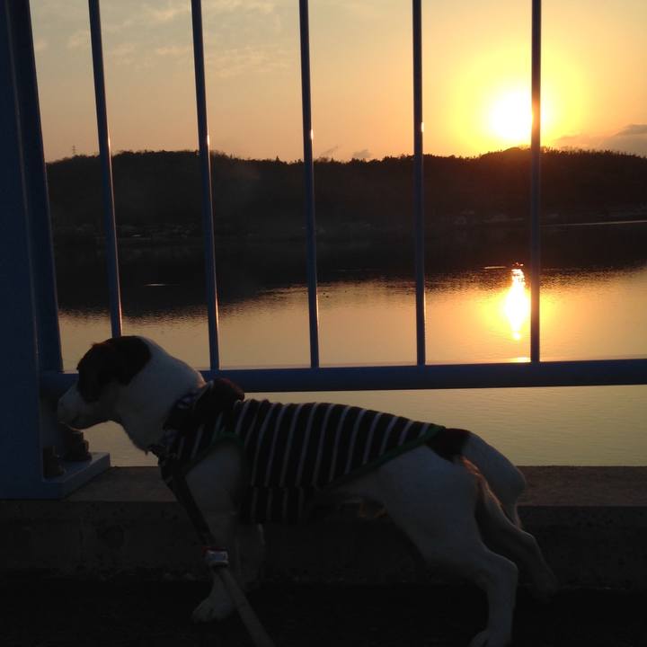 A98f76b5 7f7c 48a4 83b3 3d678909631e