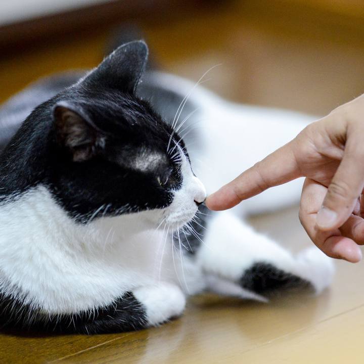 A98fa932 a331 4e1f 85ef 4979d7518011