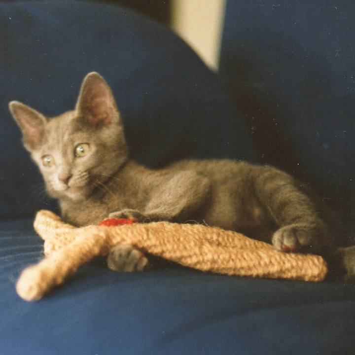 A9900139 36cd 4d4d b7d9 990a710ff992