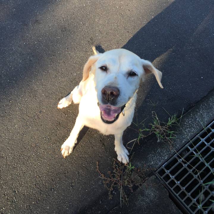 A99056ba d13c 452c 9cca c1c6259c08c9