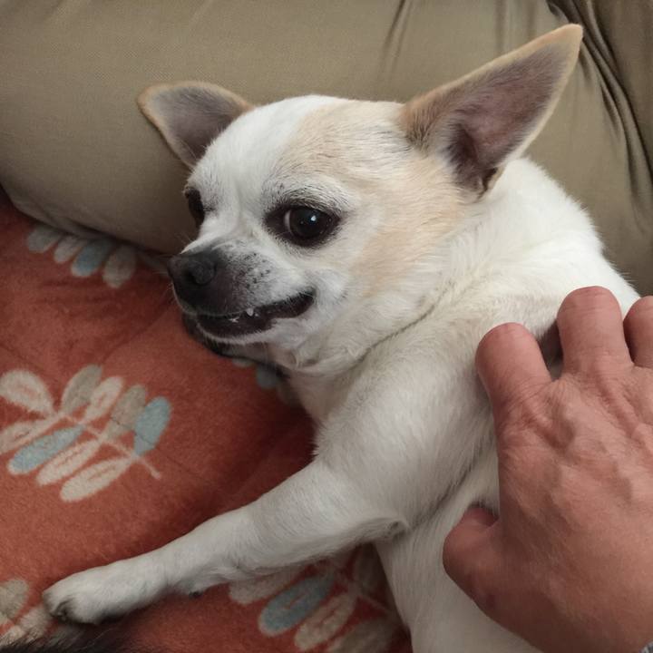 A991245a 623c 4bb7 b1d1 02e5da0329f2