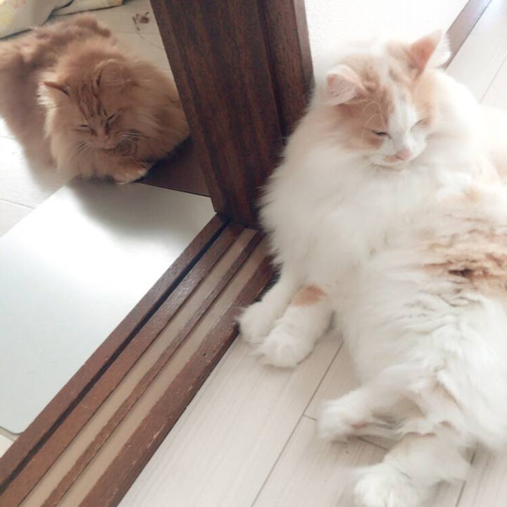 A9920f99 8724 4d3e b209 2bd18d753464