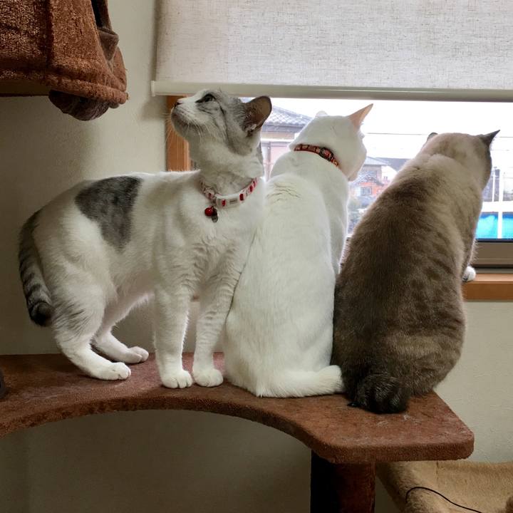 A99221ed 60f3 455b 8c0f 16cfa51dfc88