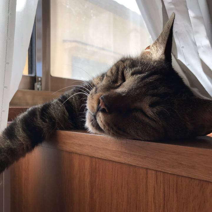 A992481b 046d 437a 877f cfcd2708399b