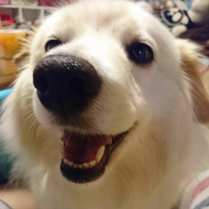 A992f9b7 a5e4 4c6e 83fe 7dacb10abba5