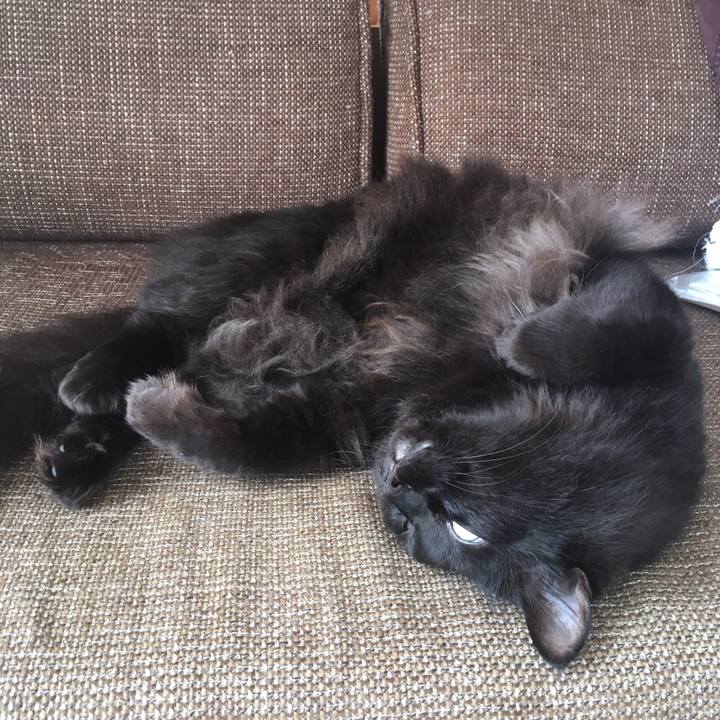 A9936237 226f 4dac a416 98b0808f232a