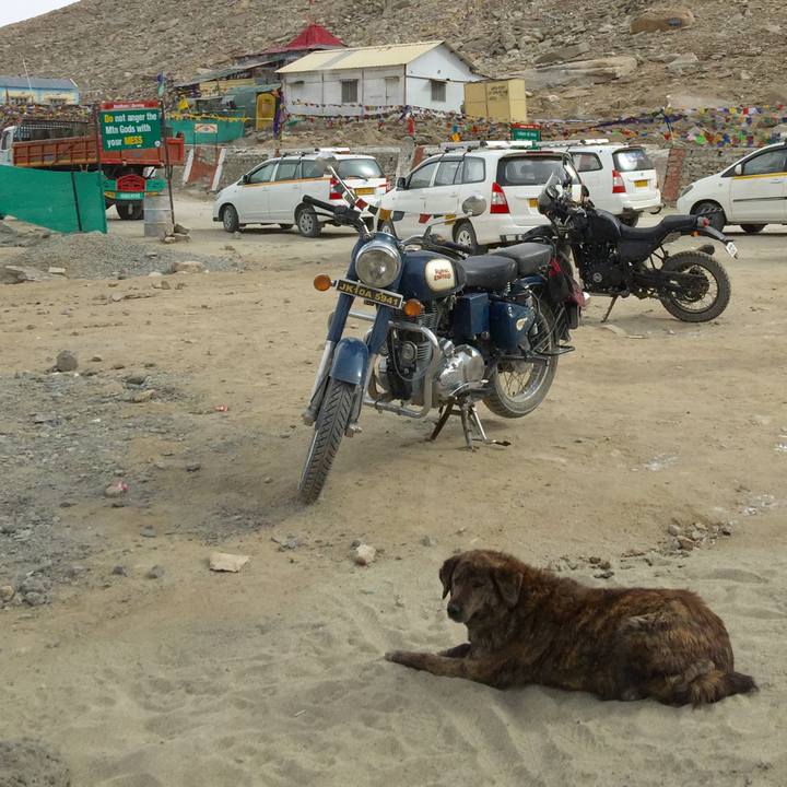 A993dfa1 bd2a 4731 94d5 4e4297baf399