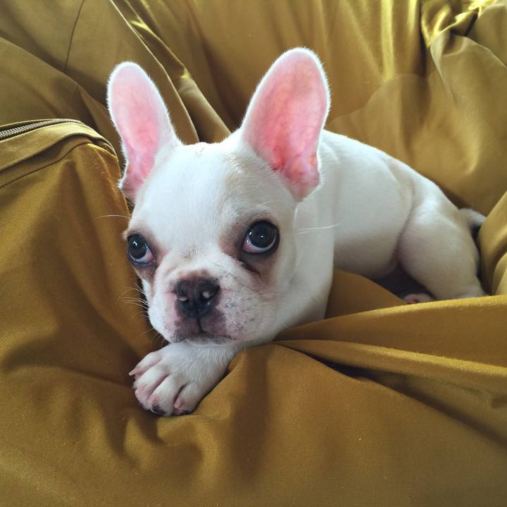 A993e876 b63a 404a a106 9ec4a1e4c7d7