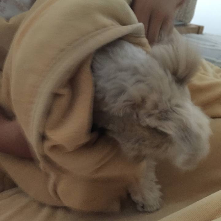 A993edd3 43c5 4dab b9e5 8b8ff5977b47