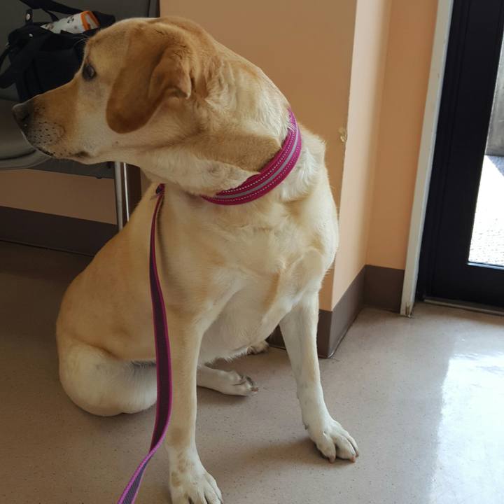 A993f3aa 7830 4578 b8ce 44b2a4f6d856