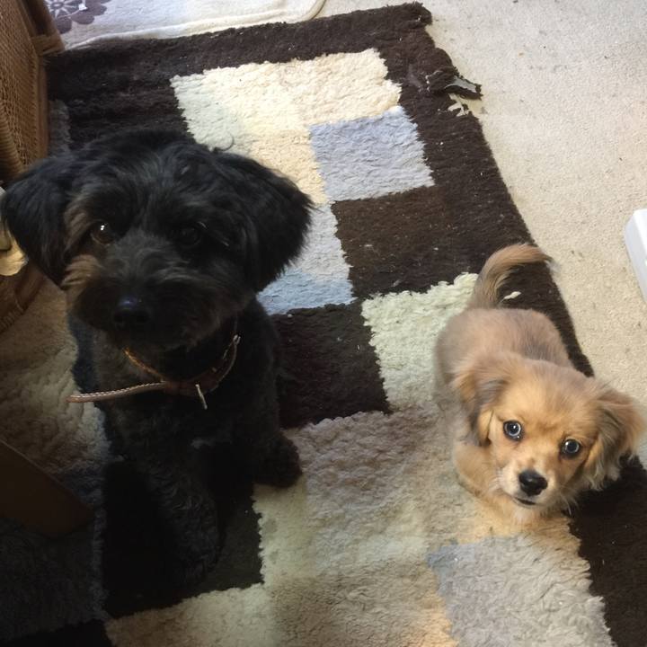 A993f7ca 930f 41da 9eb8 521d66c6b231