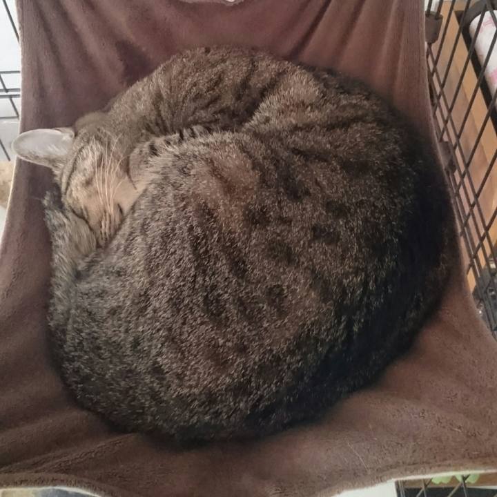 A99426b9 ae1e 4ccf 876d 14213006e65c