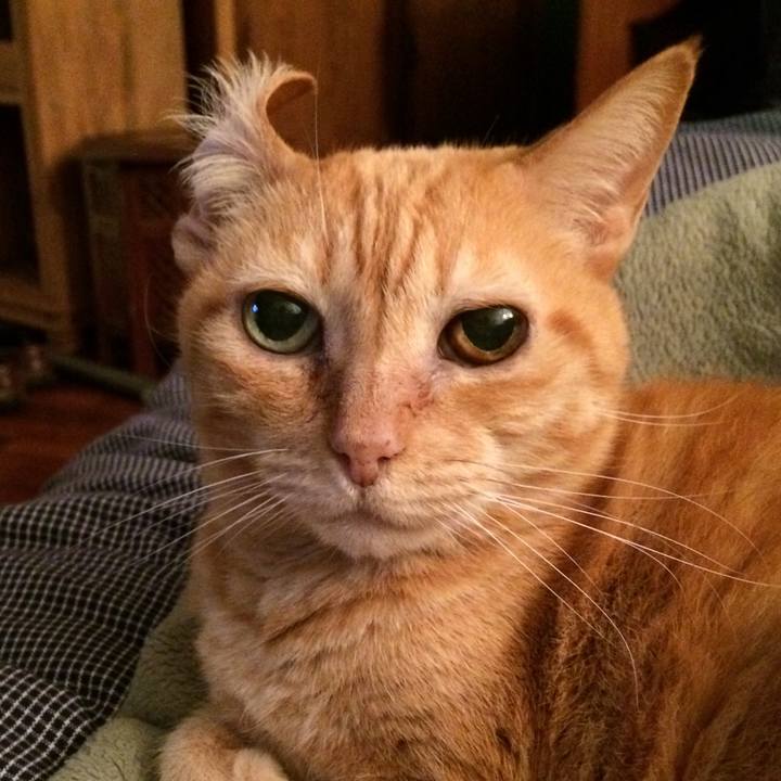 A9942c13 9eab 47b9 833a 09e4f195190d