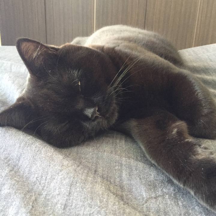 A99459cc e69a 4738 842a 4151a9b31caf