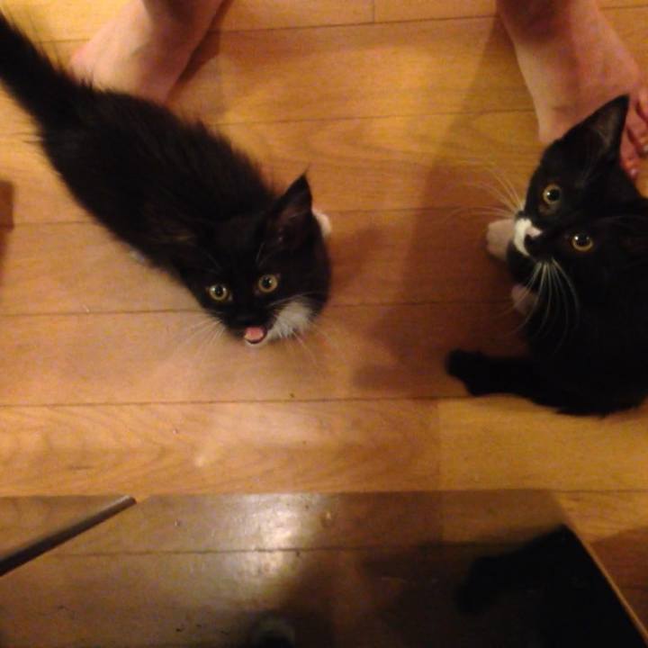 A9947617 4b33 499d b113 03b450a66421