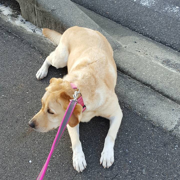 A994847f 65ca 4642 8d2a 487690e54b25