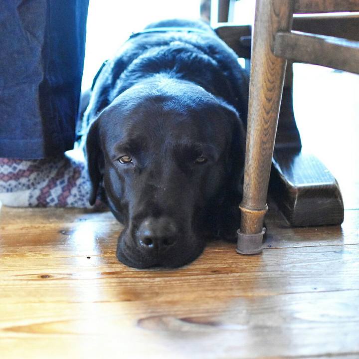 A994d4eb 5519 47a7 a0ca 08ee33d56e57