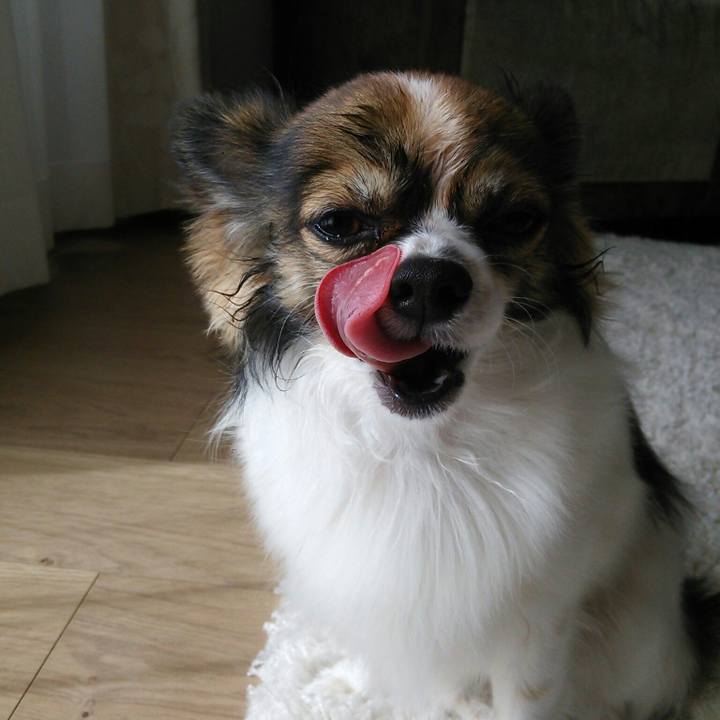 A994deeb 1817 4eb1 b685 f579ad3fa76f