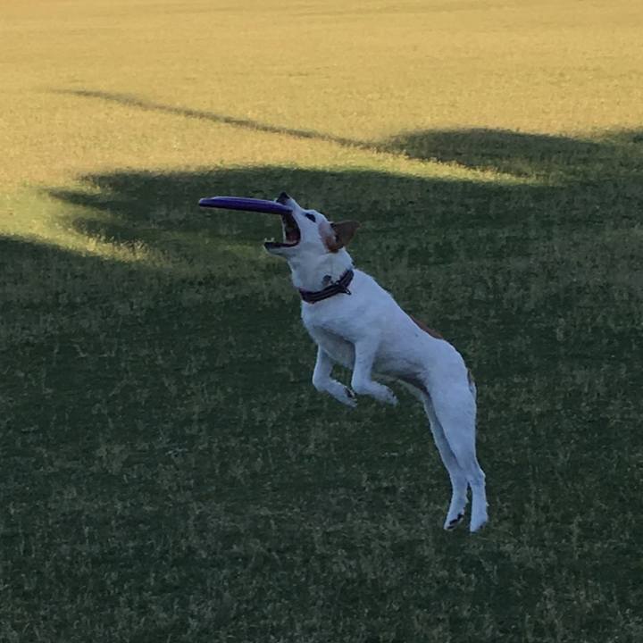 A9954430 a77b 4567 8553 465a7228a14d