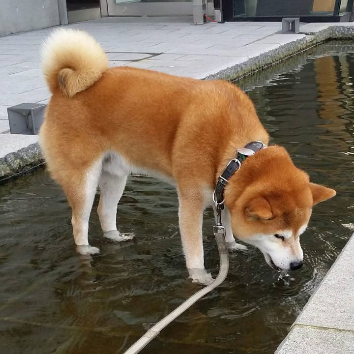 A9959c4c 5abe 4baf 9181 a1034b91a98f