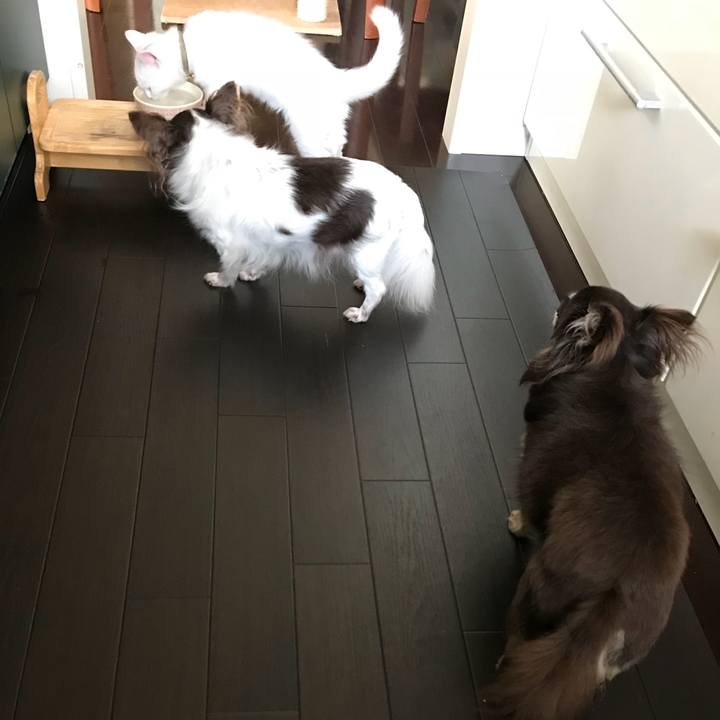 A995d99b f491 45a9 86aa 83db180693f1