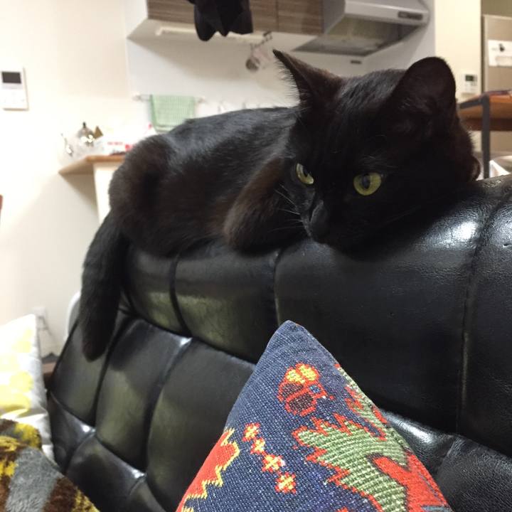 A9966f12 3f6b 4d2b 96f4 cc43d0740ea0