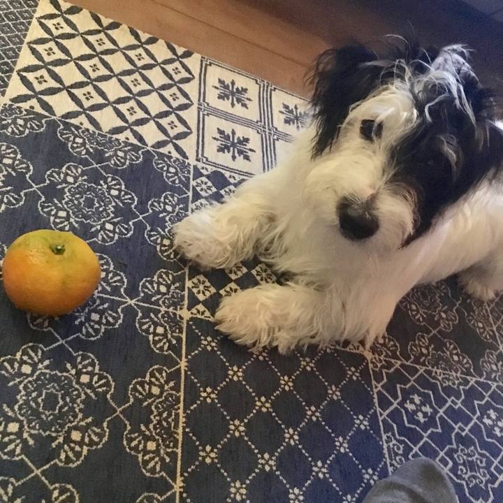 A9967845 1028 40c4 bd25 2cf447d64fae