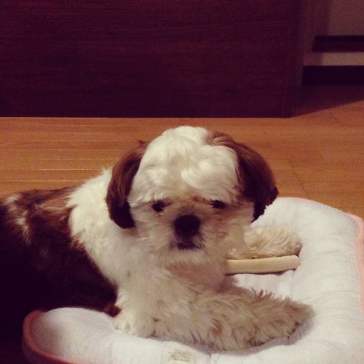 A9967909 3208 46b3 bb15 3e42f7bad1af