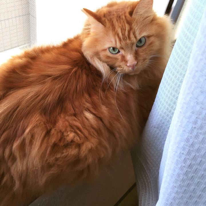 A997d759 9d95 46ea b4b6 f780959c2b2e