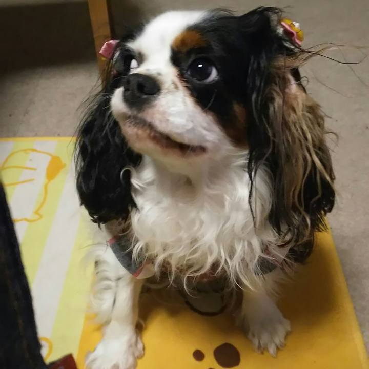 A998004d 0fc8 4bab ac74 b03edf072164