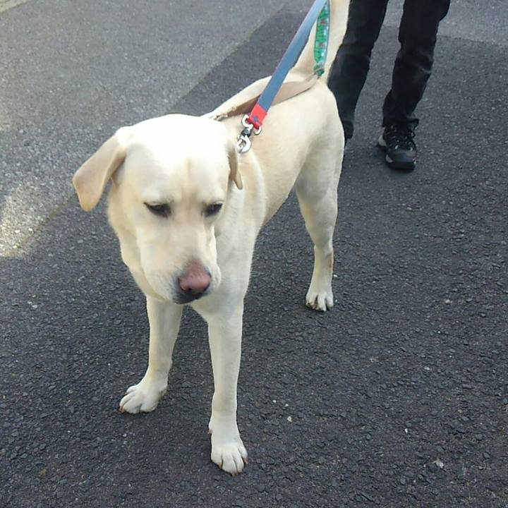 A9986660 bdbc 4be2 8205 fd20df8c95a8