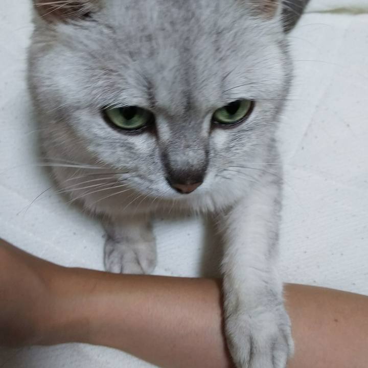 A998d036 acc6 4d67 a401 3f75794f4fb2