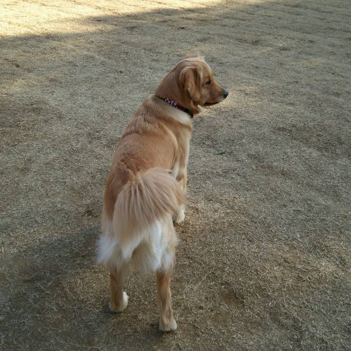 A9999027 665c 4540 a0f7 1d05bbe3623a