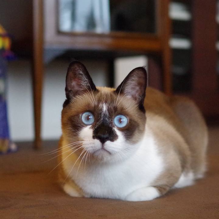 A99a1e2e 9232 4bbb be12 95c68b23131d