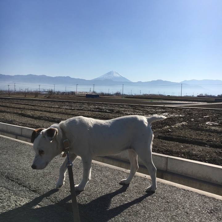 A99a5d80 556e 4904 9e3b 6b2e98723cb2