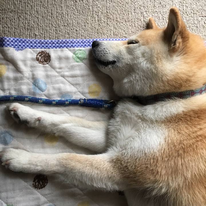 A99a7ca9 e56a 4312 a36f 3d70058a97cc