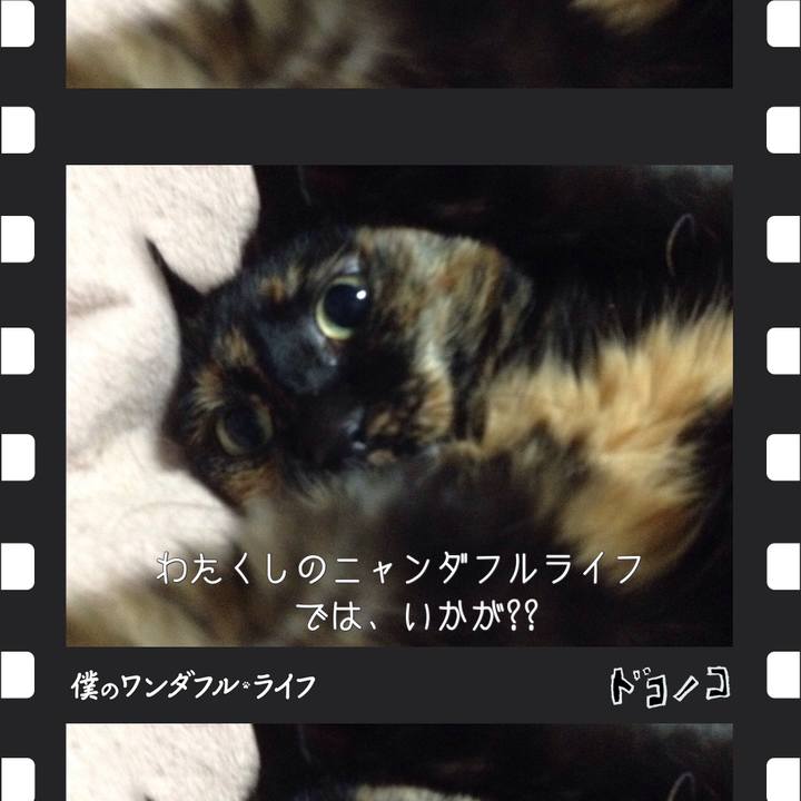 A99ae26f 54fd 4185 ab1a d1566a946927