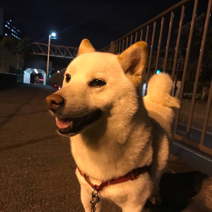 A99b5ab5 0e98 46c4 a5d7 3c18e0d54b47