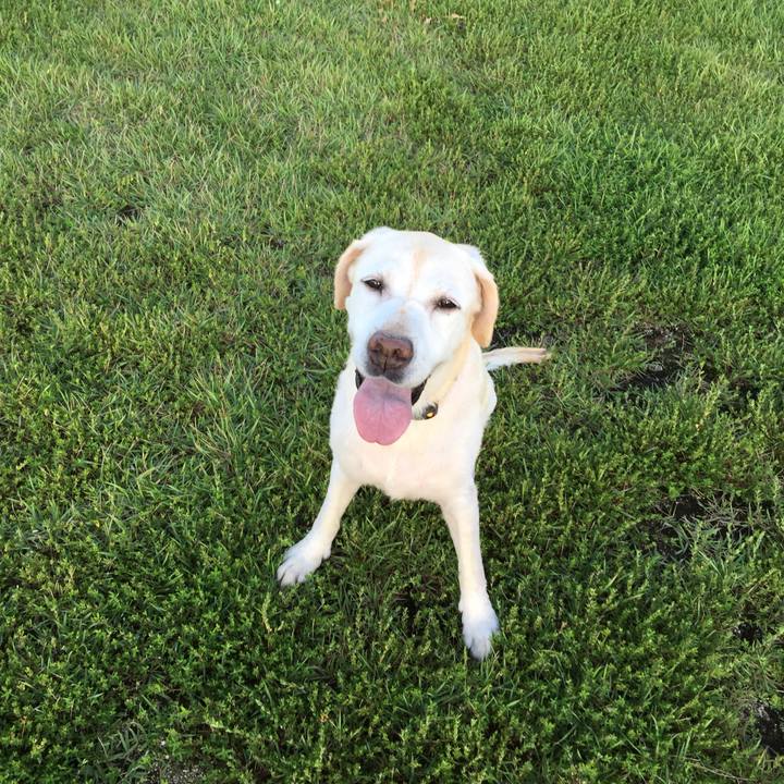 A99c11d3 912c 4ecf a891 c1adba4bcfc0