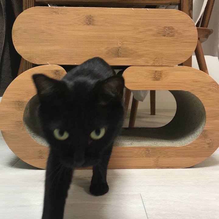 A99c154a 8693 47a8 8cdc b1a7749ce25d