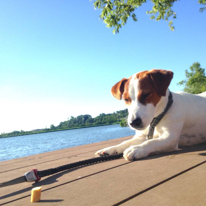 A99c5942 506a 4e20 8fb5 65b2b7022fef