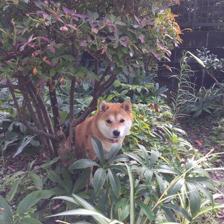 A99d22a3 b020 43d3 801e e3b4653e428c