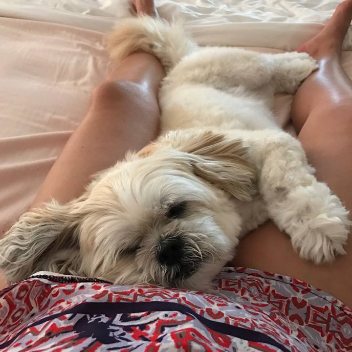 A99d7659 1a66 4deb 9b98 ae0b76d90e3b