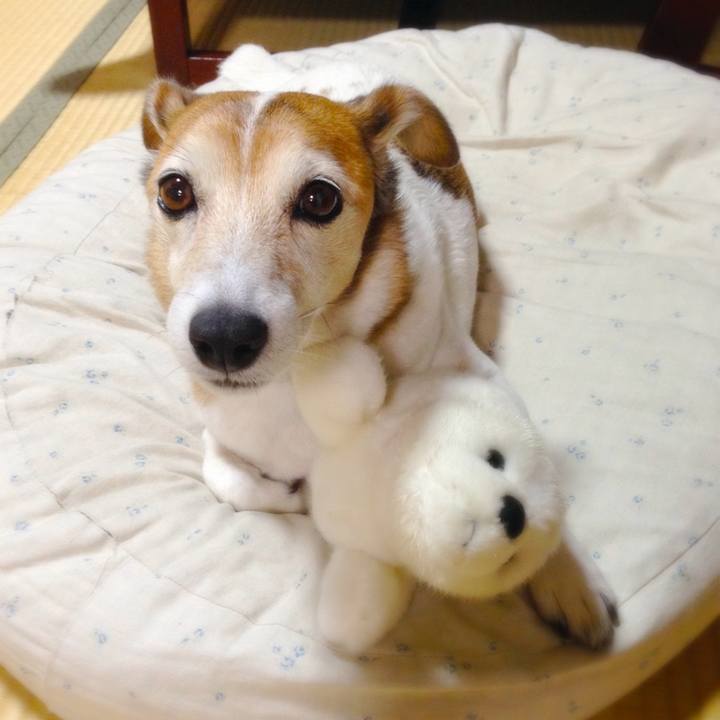 A99e1e51 8aaa 4aed bc69 edd3c08a7711