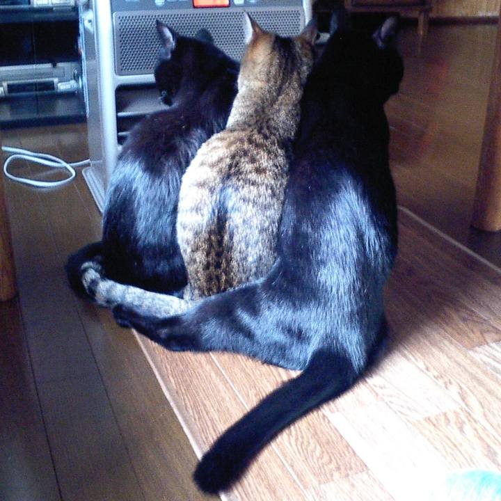 A99e4174 8417 45d6 b819 34cc8a1a76fd