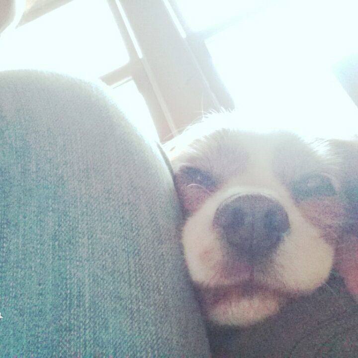 A99f4c8a 29be 4bab 9495 6c19ee98c18a