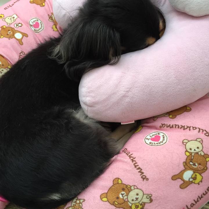 A9a1ef59 2695 4596 aa97 2a8ea73e352f