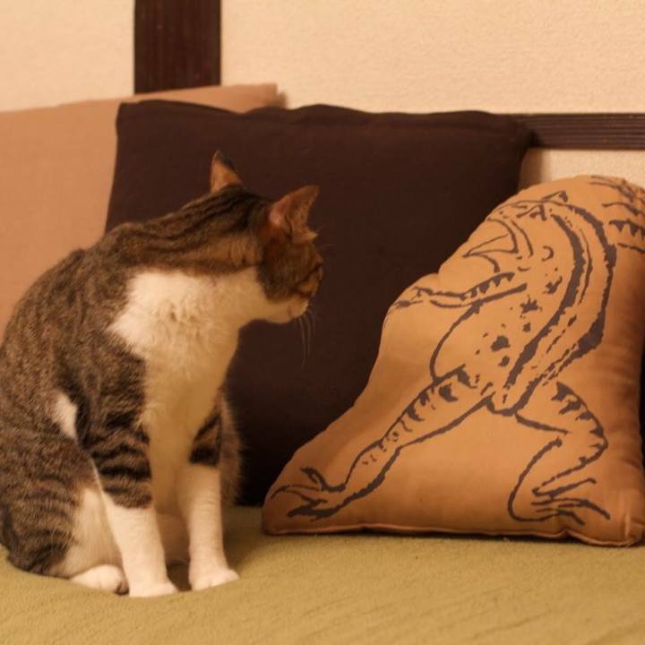 A9a23f8e 8546 4e49 9f12 84616d54dc00